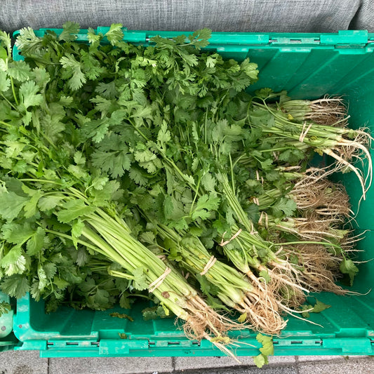 Herbs