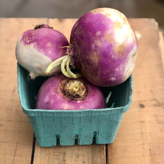 Purple Top Turnips