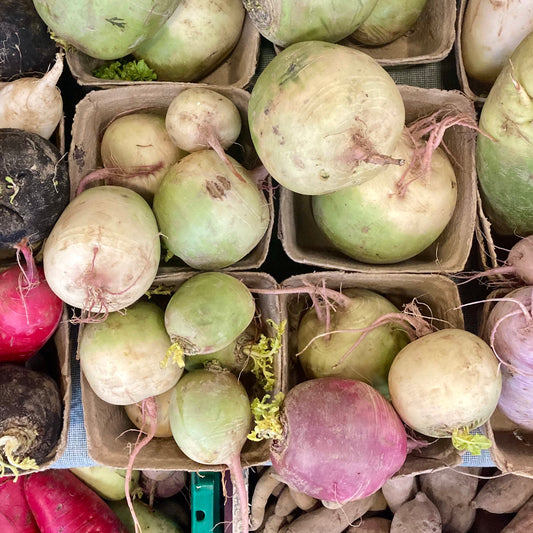 Watermelon Radish