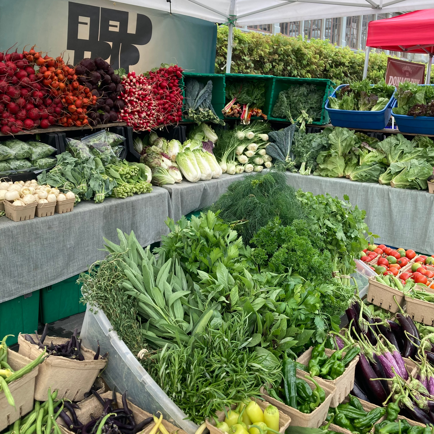 Summer Lite Subscription