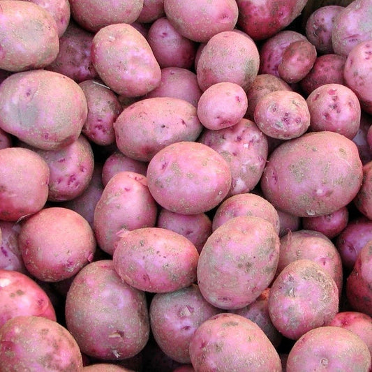 Potatoes, red