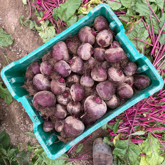 Beets