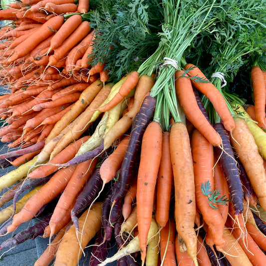 Bunched Carrots, rainbow