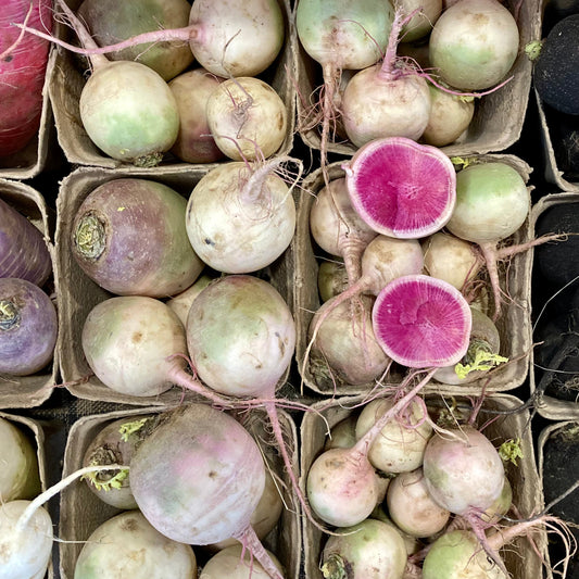 Watermelon Radish