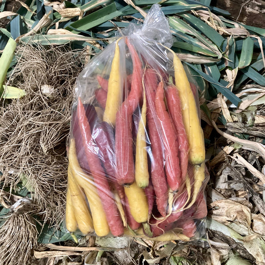 Carrots, rainbow